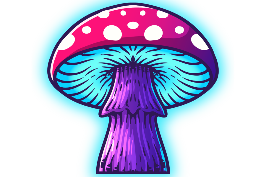 Detroit Magic Mushrooms Dispensary