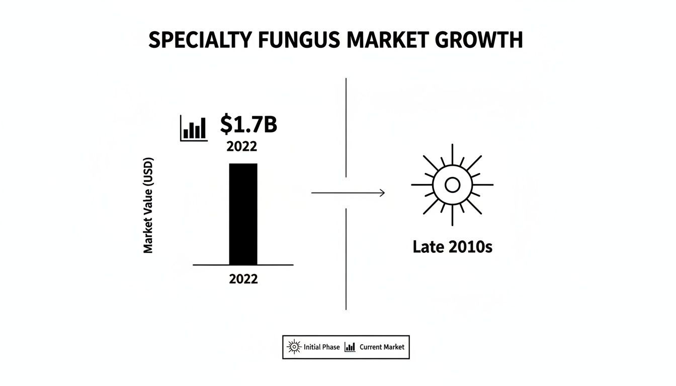 Diagram shows specialty fungus market growth from late 2010s initial phase to $1.7B in 2022.