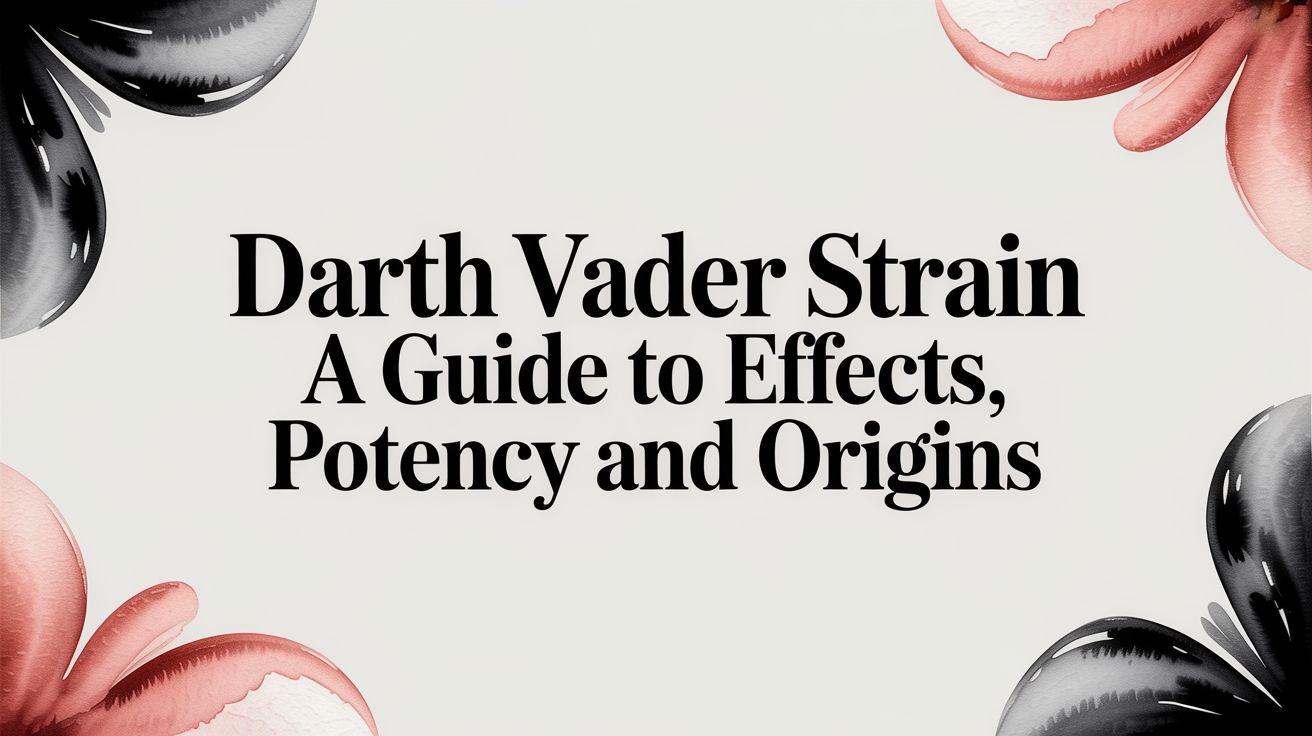 Darth Vader Strain A Guide to Effects Potency and Origins