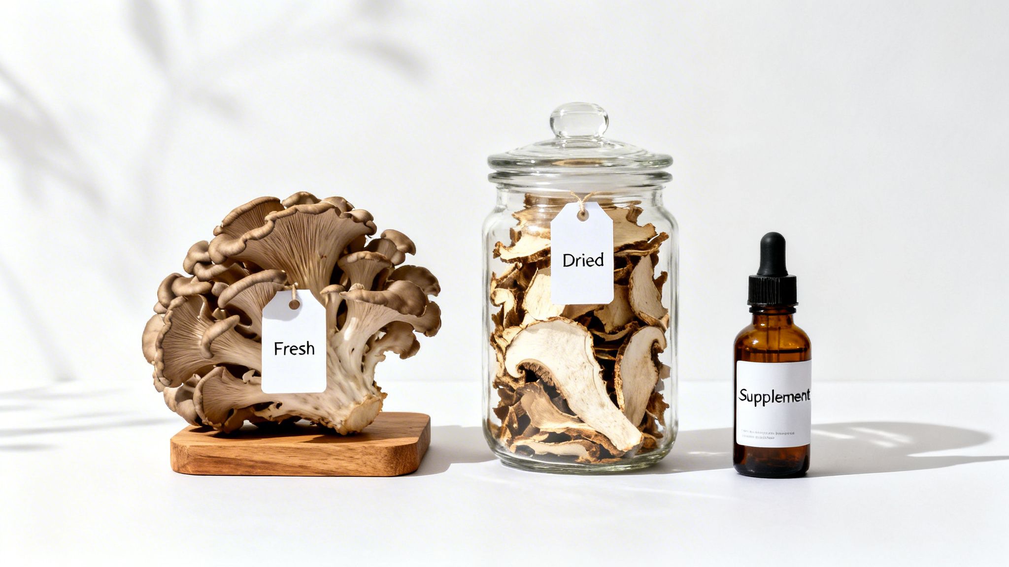 Three forms of maitake mushrooms: fresh on wood, dried in a jar, and liquid supplement bottle.