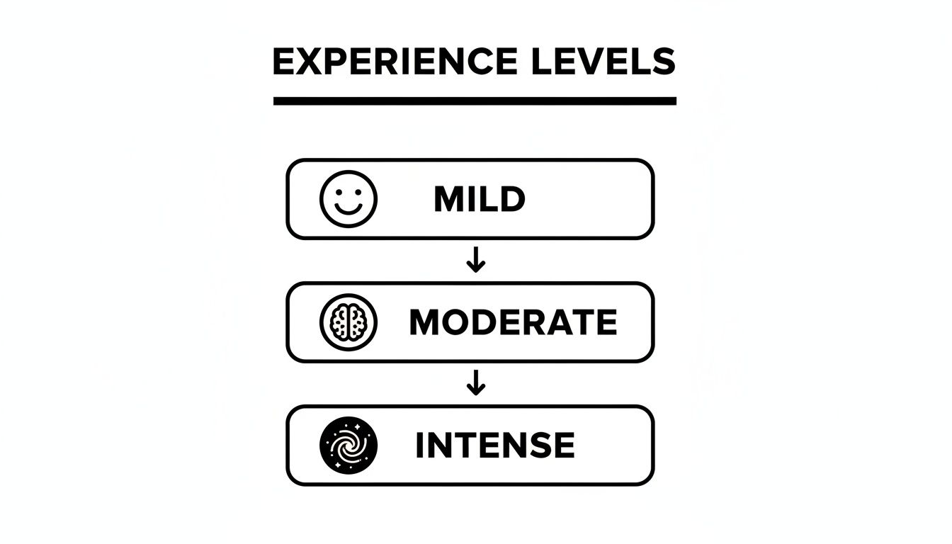 A black and white chart illustrating three experience levels: Mild, Moderate, and Intense.