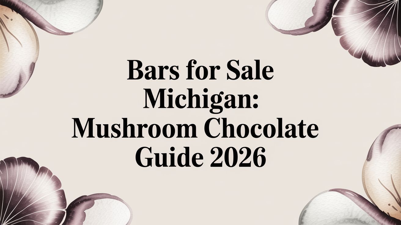 Bars For Sale Michigan: Mushroom Chocolate Guide 2026