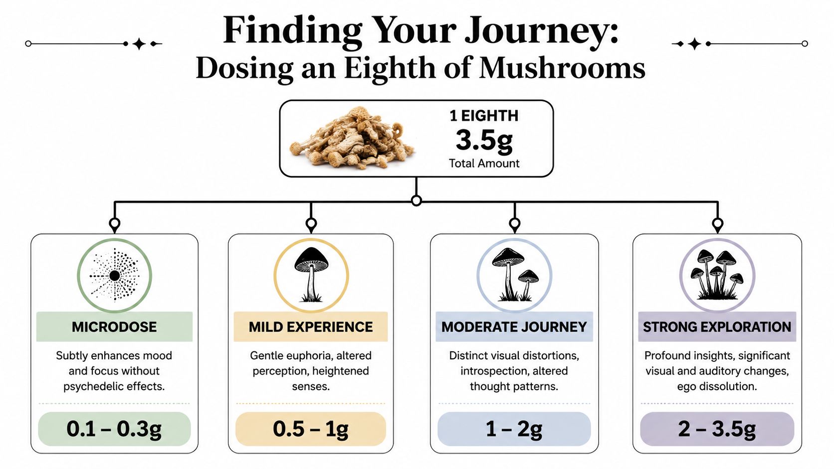 A visual guide illustrating the different dosage levels for an eighth of dried magic mushrooms.