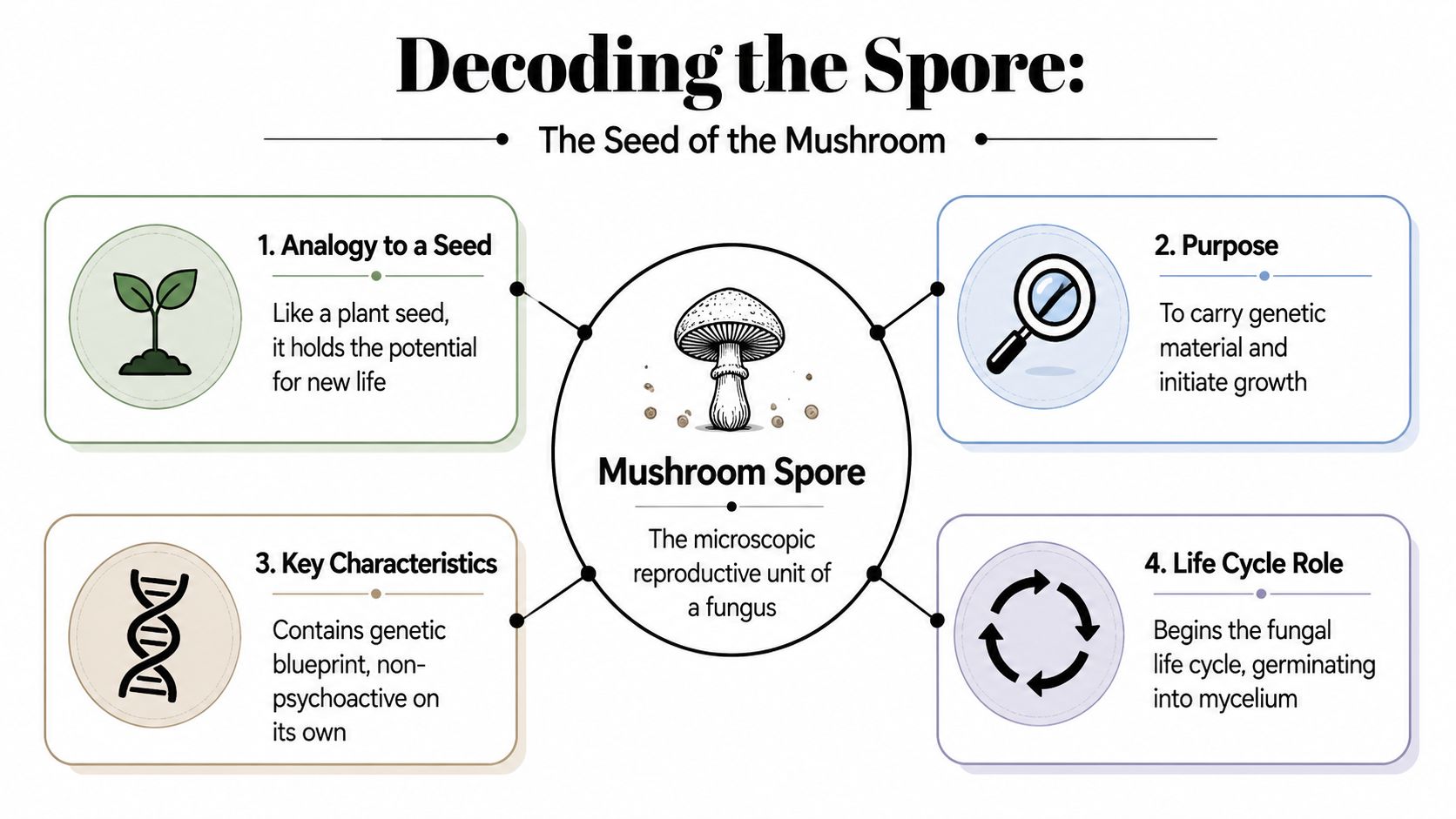 An infographic titled Decoding the Spore explaining the biological function and purpose of mushroom spores.
