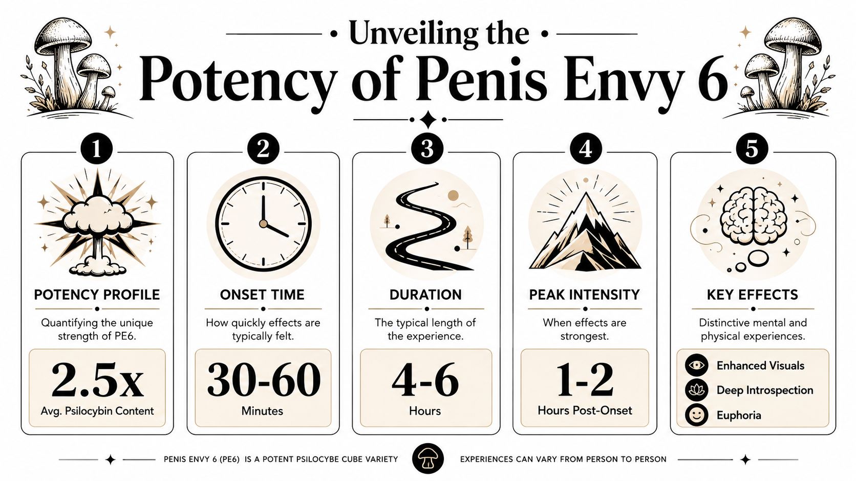 An infographic detailing the potency, onset time, duration, and effects of the Penis Envy 6 mushroom variety.