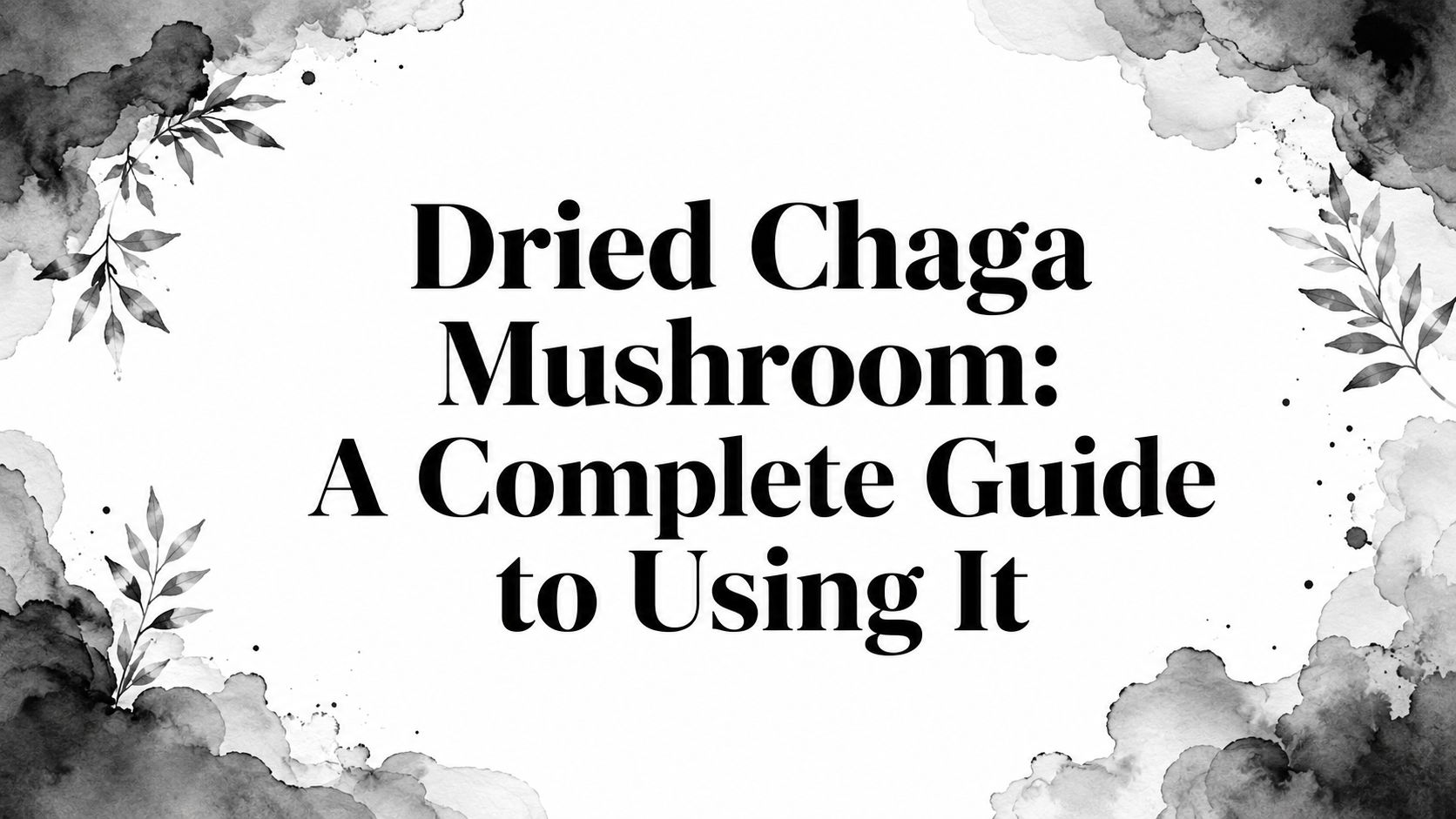 Dried Chaga Mushroom: A Complete Guide to Using It