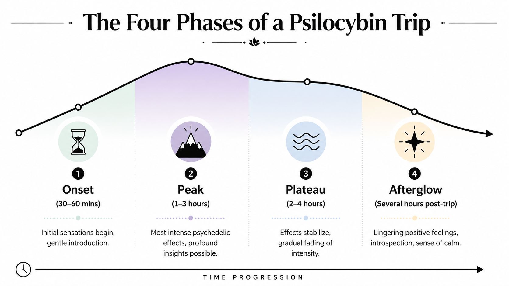 A chart detailing the four phases of a psilocybin trip, including onset, peak, plateau, and afterglow durations.