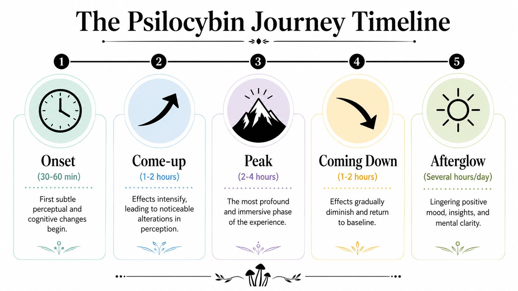 An infographic showing the five stages of a psilocybin experience, including onset, come-up, peak, coming down, and afterglow.