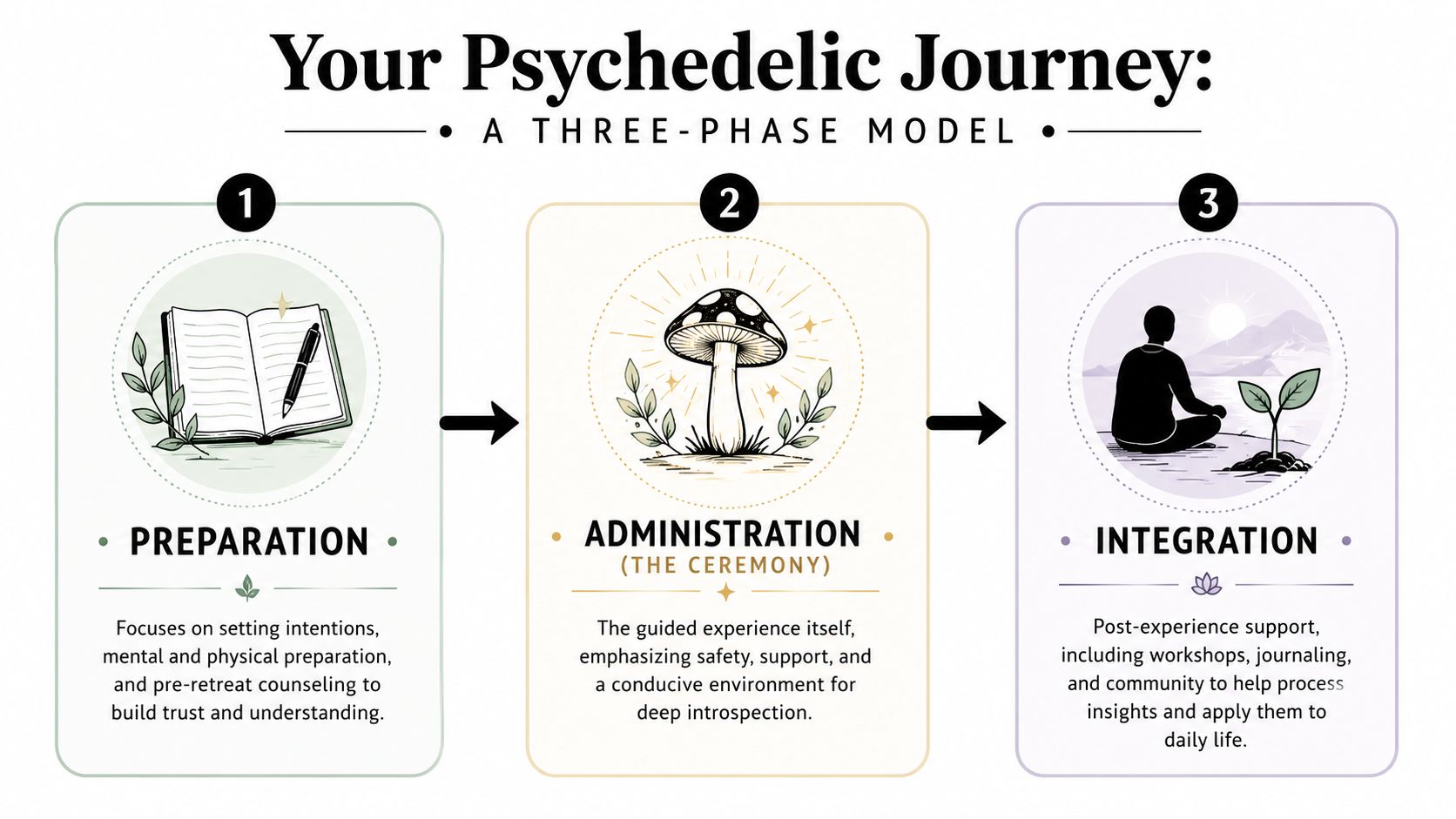 A diagram illustrating a three-phase model for a psychedelic journey: preparation, administration, and integration stages.