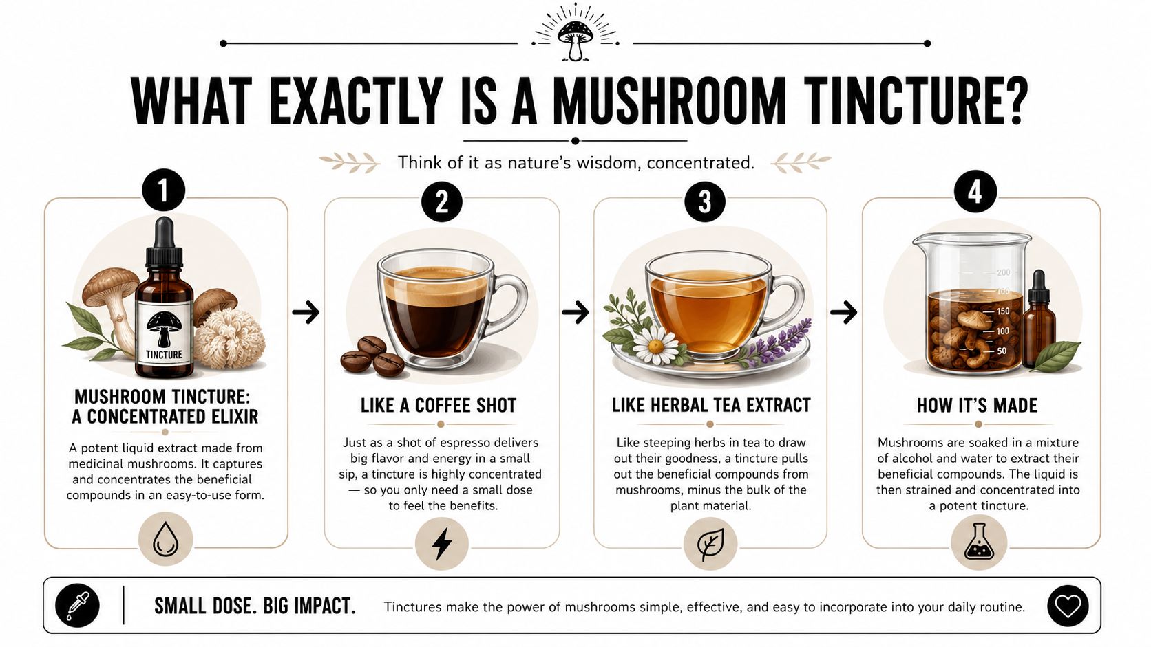 An infographic explaining mushroom tinctures, showing the process and benefits in four numbered steps.
