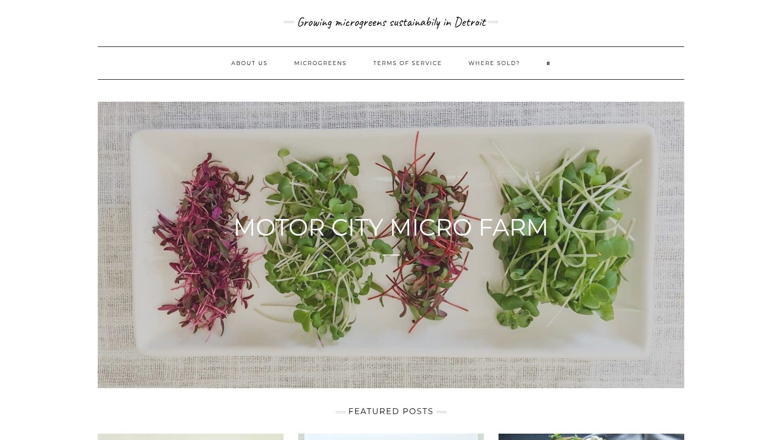 Motor City Micro Farm (Detroit)