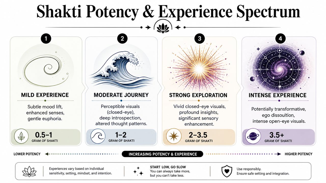 An infographic showing a dosage spectrum for Shakti mushrooms, detailing experience levels from mild to intense.