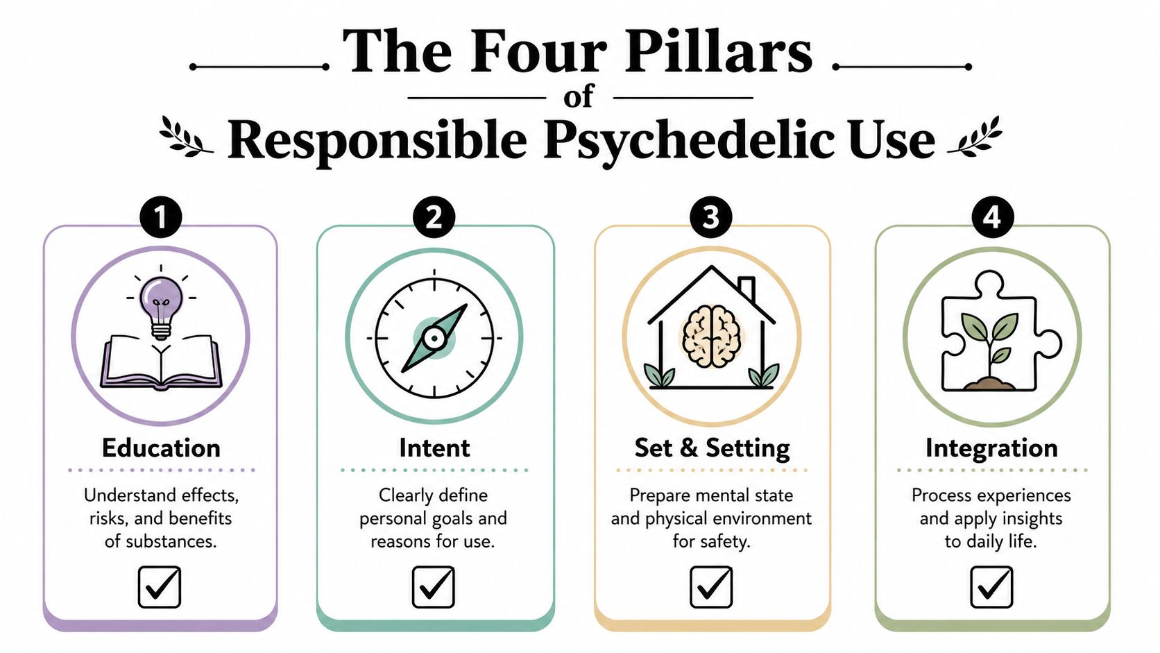 An infographic titled The Four Pillars of Responsible Psychedelic Use, listing education, intent, set and setting, and integration.