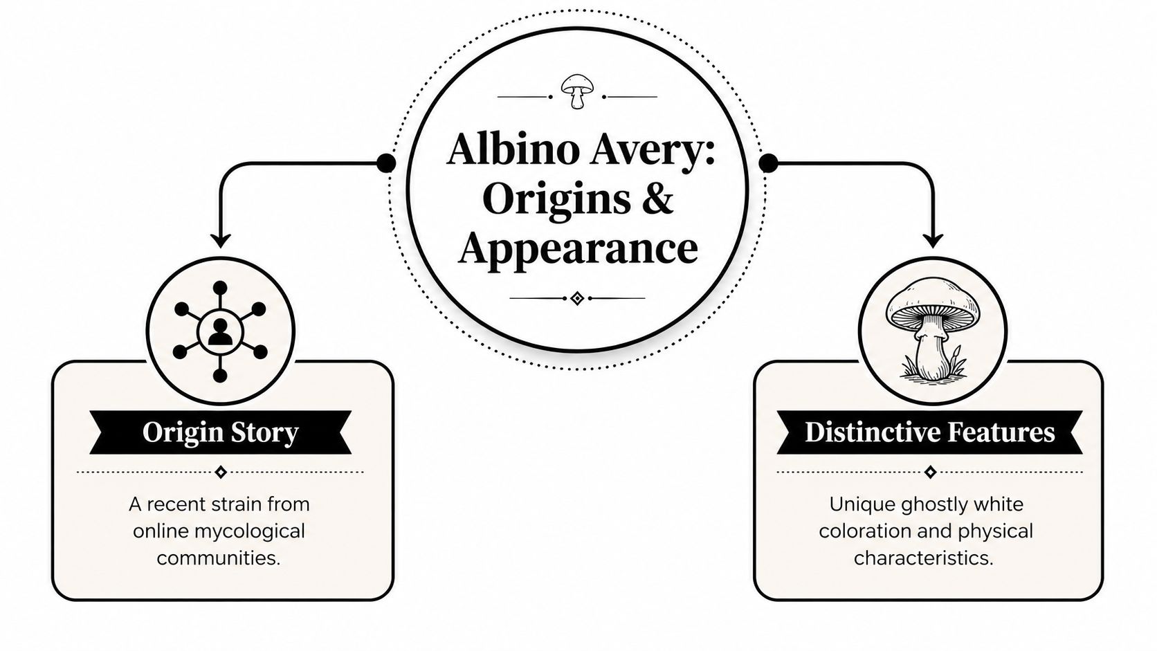 A diagram describing the origins and distinct appearance of the Albino Avery mushroom strain.