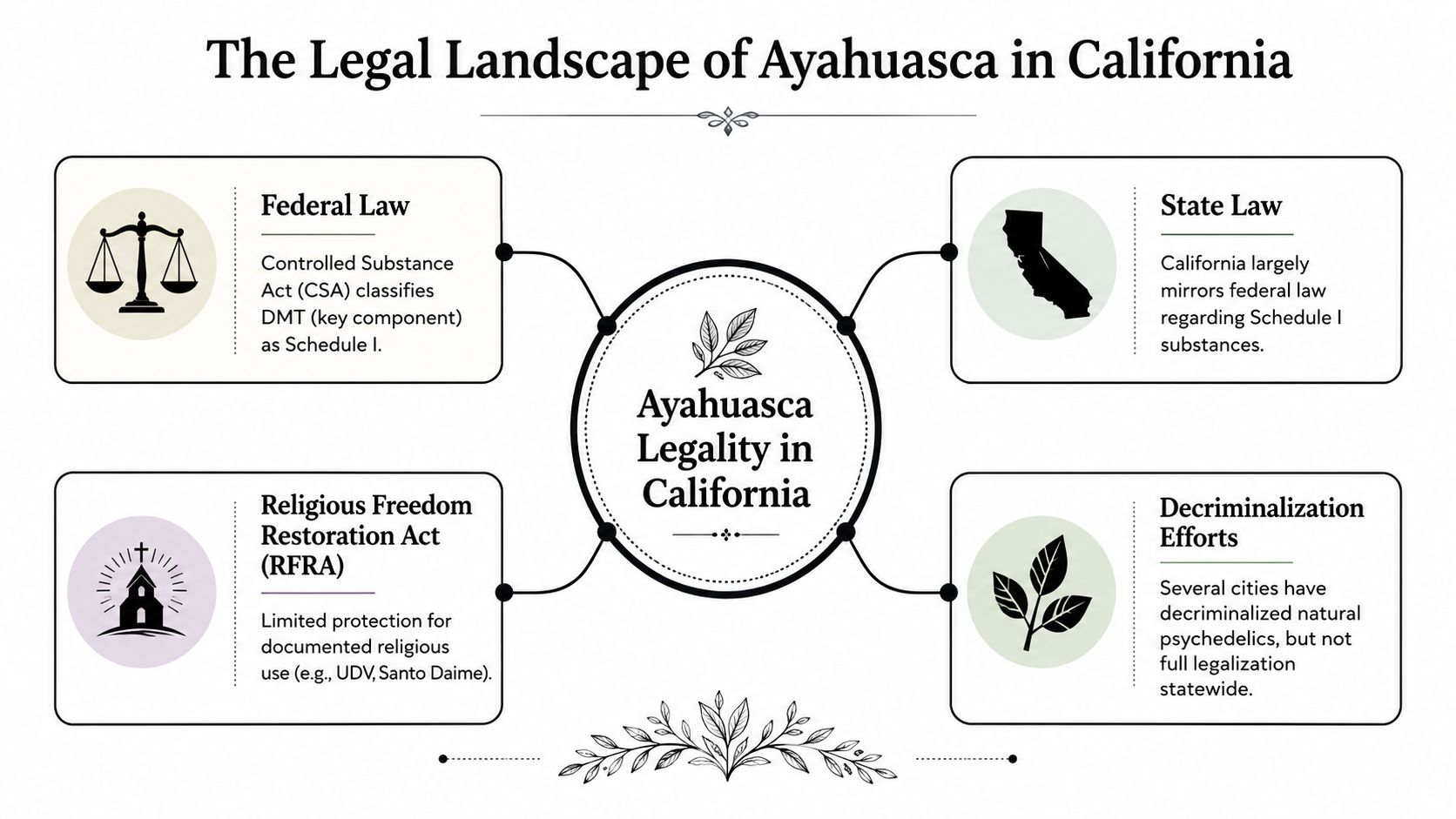 An infographic titled The Legal Landscape of Ayahuasca in California outlining federal, state, and religious legal contexts.