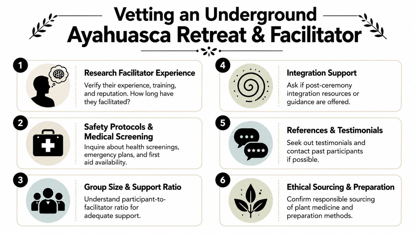 An infographic titled Vetting an Underground Ayahuasca Retreat & Facilitator outlining six key safety and research steps.