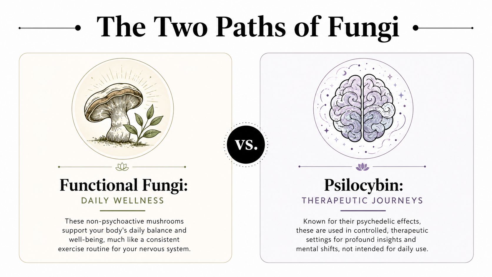 An infographic titled The Two Paths of Fungi contrasting daily wellness functional mushrooms with therapeutic psilocybin journeys.
