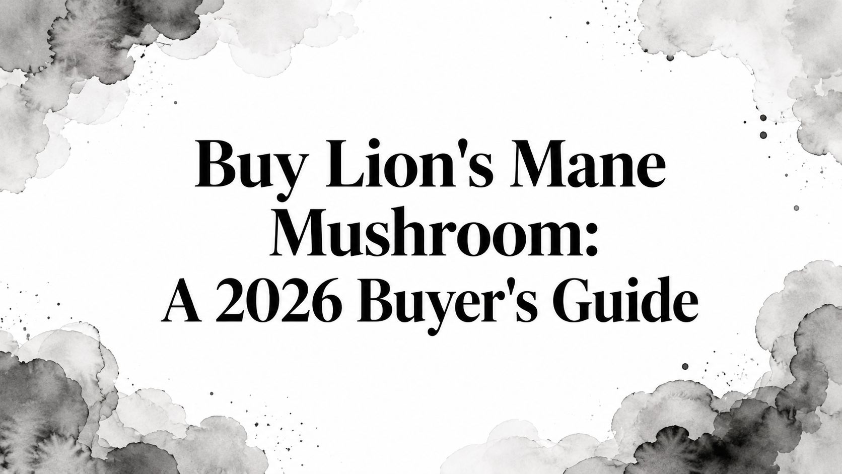 Buy Lion’s Mane Mushroom: A 2026 Buyer’s Guide