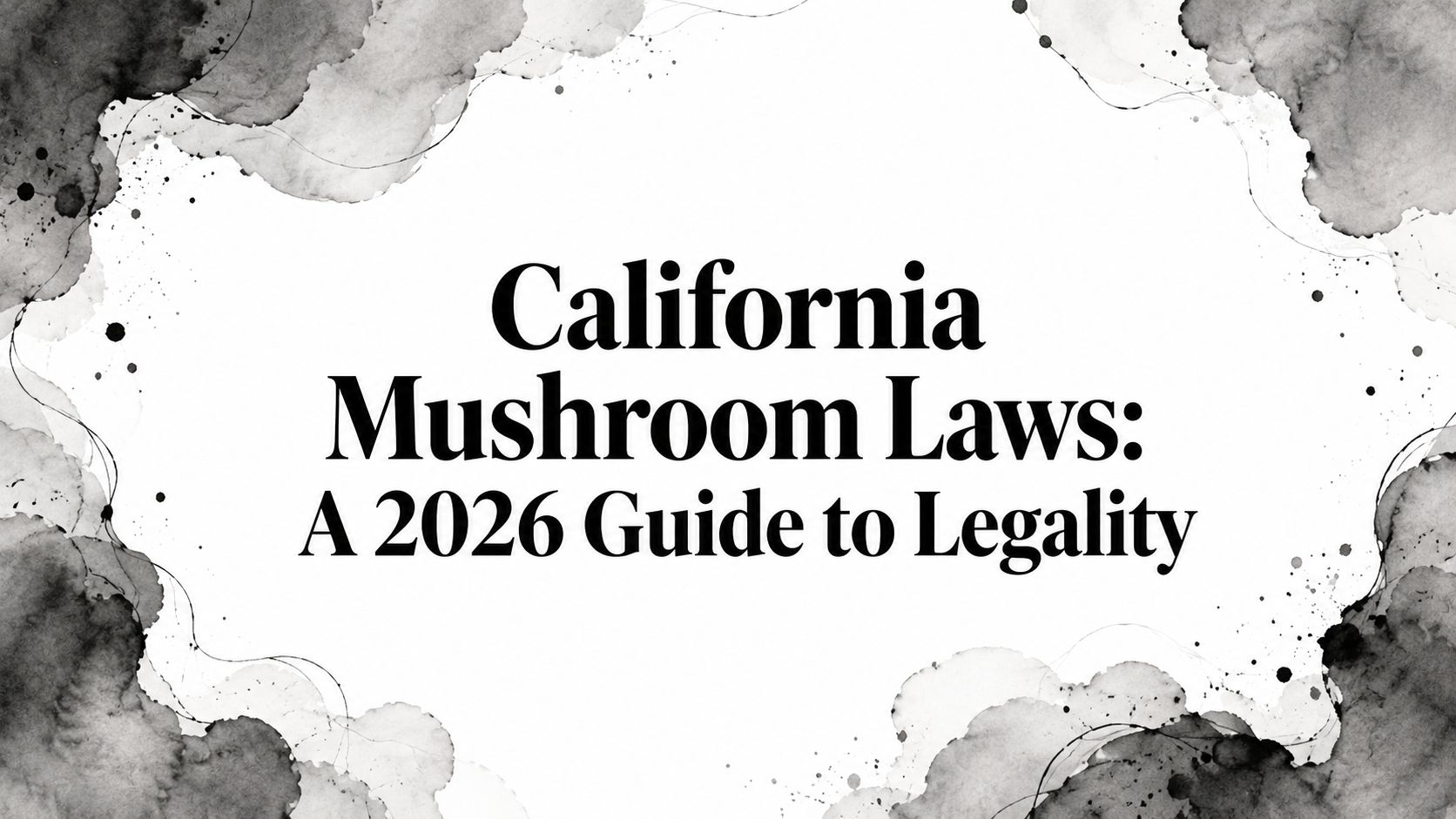 California Mushroom Laws: A 2026 Guide to Legality