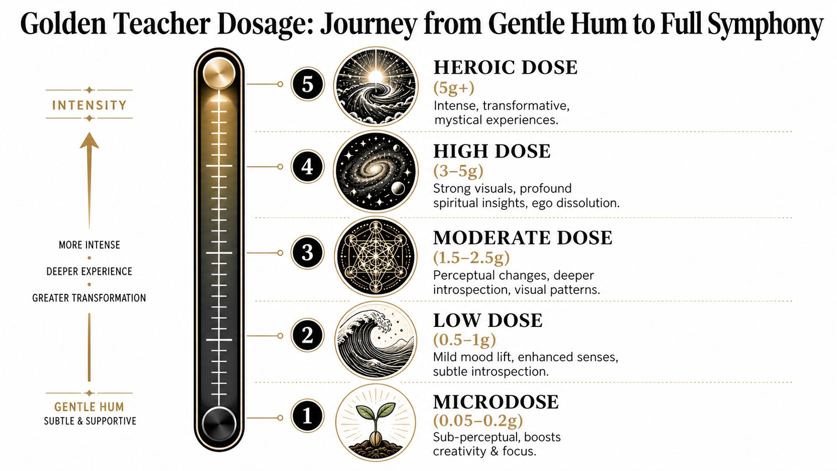 A chart illustrating Golden Teacher mushroom dosage levels, ranging from microdose to heroic dose for varied experiences.