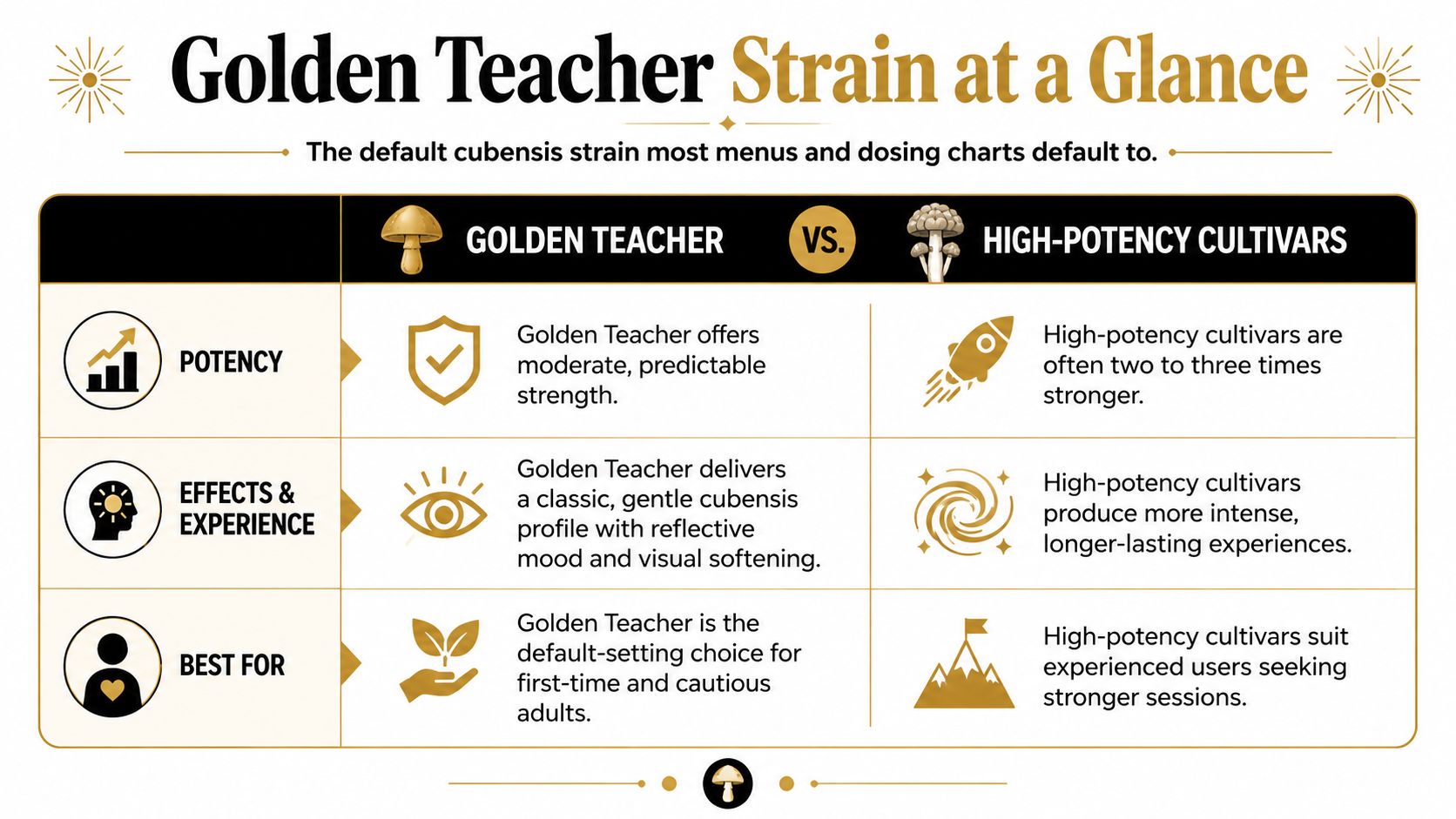 A comparison chart showing how the Golden Teacher mushroom strain differs from high-potency mushroom cultivars.