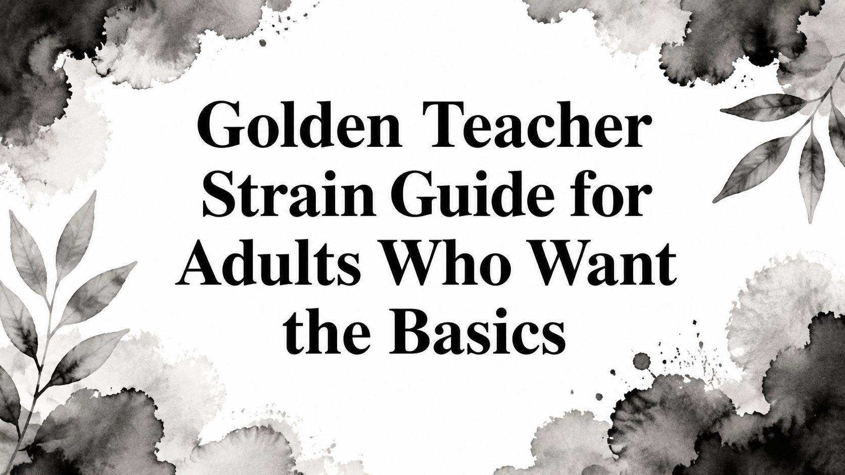 Golden Teacher Strain Guide for Adults Who Want the Basics