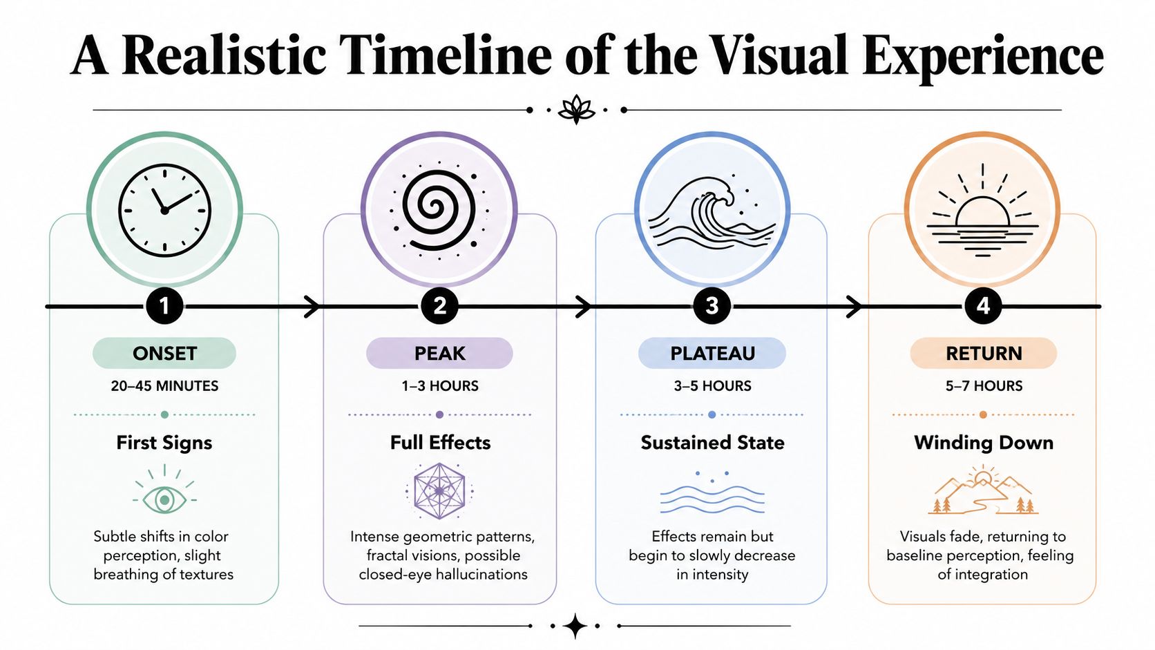 A four-stage timeline chart illustrating the progression of psychedelic visual experiences from onset to return.