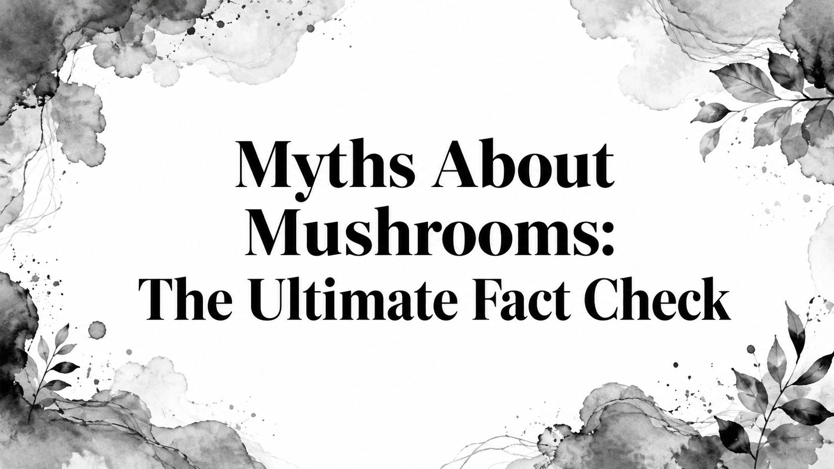 Myths About Mushrooms: The Ultimate Fact Check