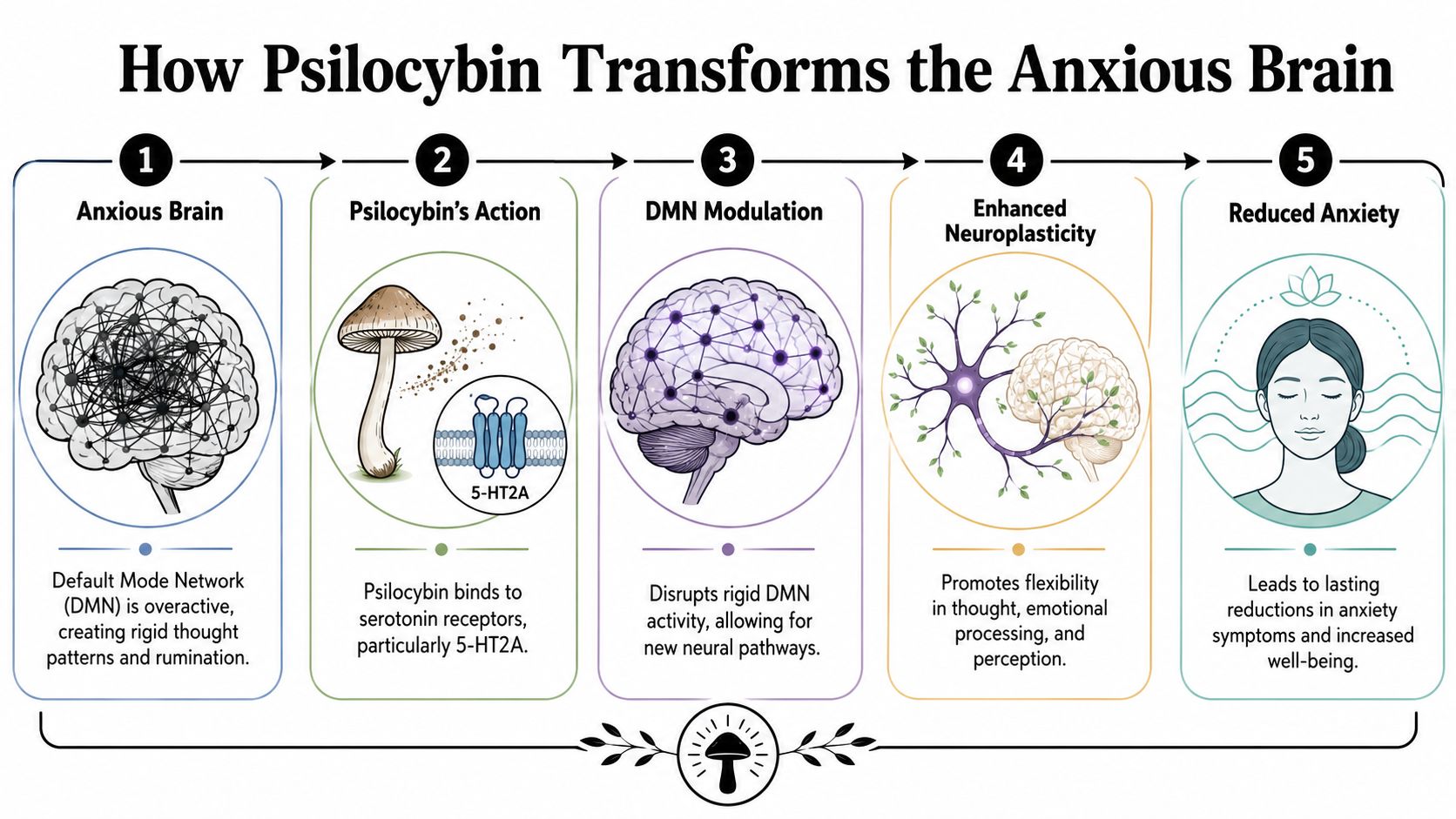 A five-step infographic illustrating how psilocybin interacts with the brain to potentially reduce symptoms of anxiety.