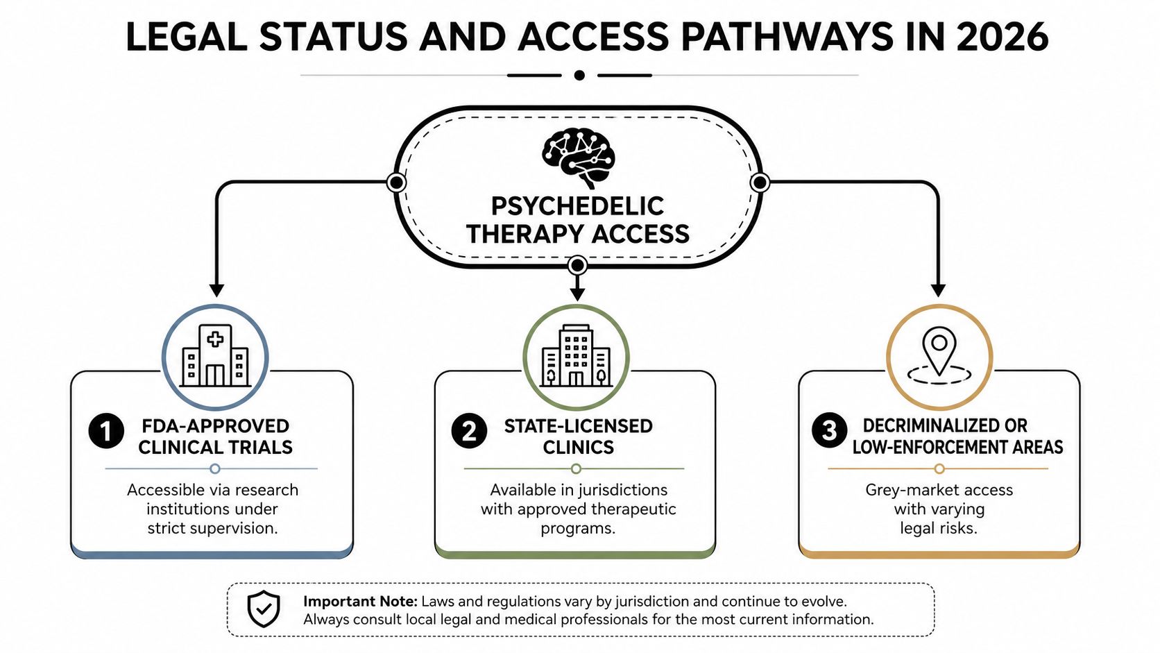 A diagram illustrating three pathways for accessing psychedelic therapy in 2026, including clinical trials, clinics, and decriminalized areas.