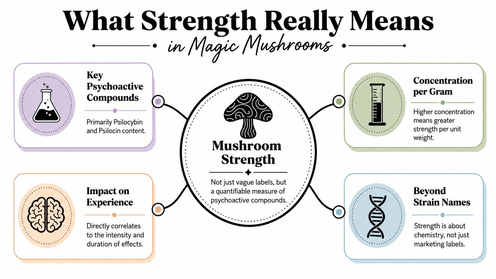 An infographic titled What Strength Really Means in Magic Mushrooms explaining how concentration affects mushroom potency.
