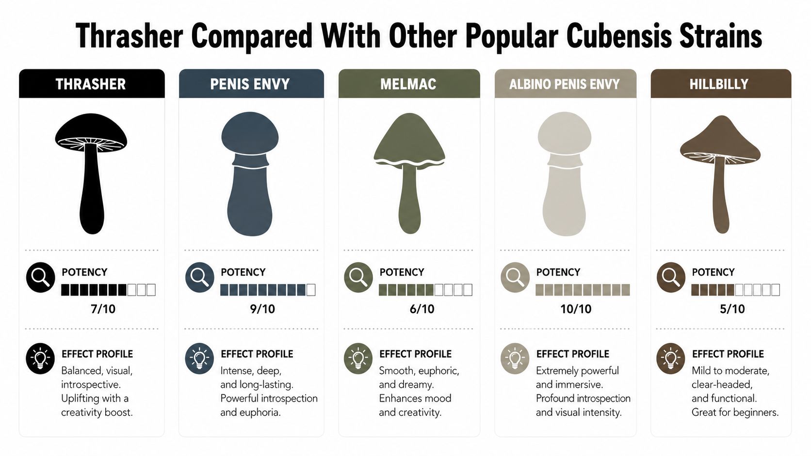 A comparison chart showing potency and effect profiles for five popular cubensis mushroom strains, including Thrasher.