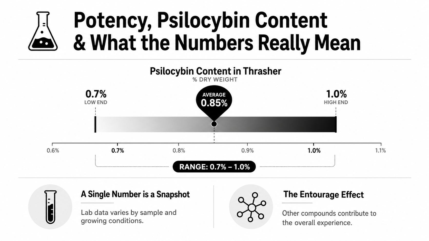 An infographic showing the psilocybin content percentage range and average for the Thrasher mushroom strain.