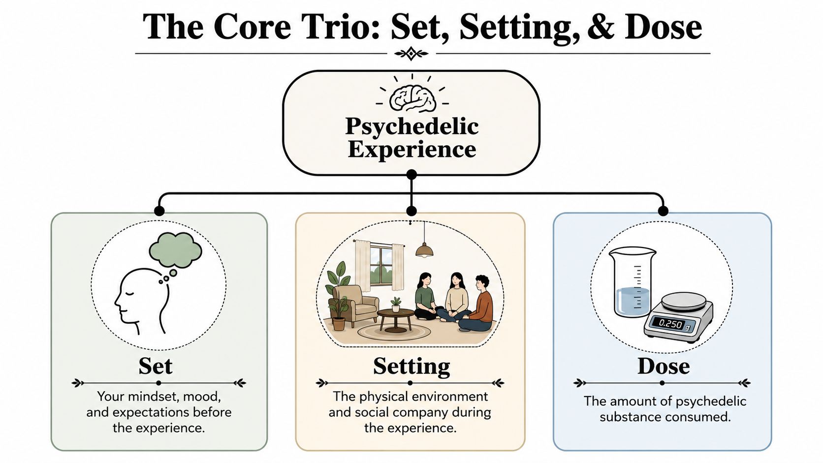 A diagram explaining the three key factors influencing a psychedelic experience: set, setting, and dose.