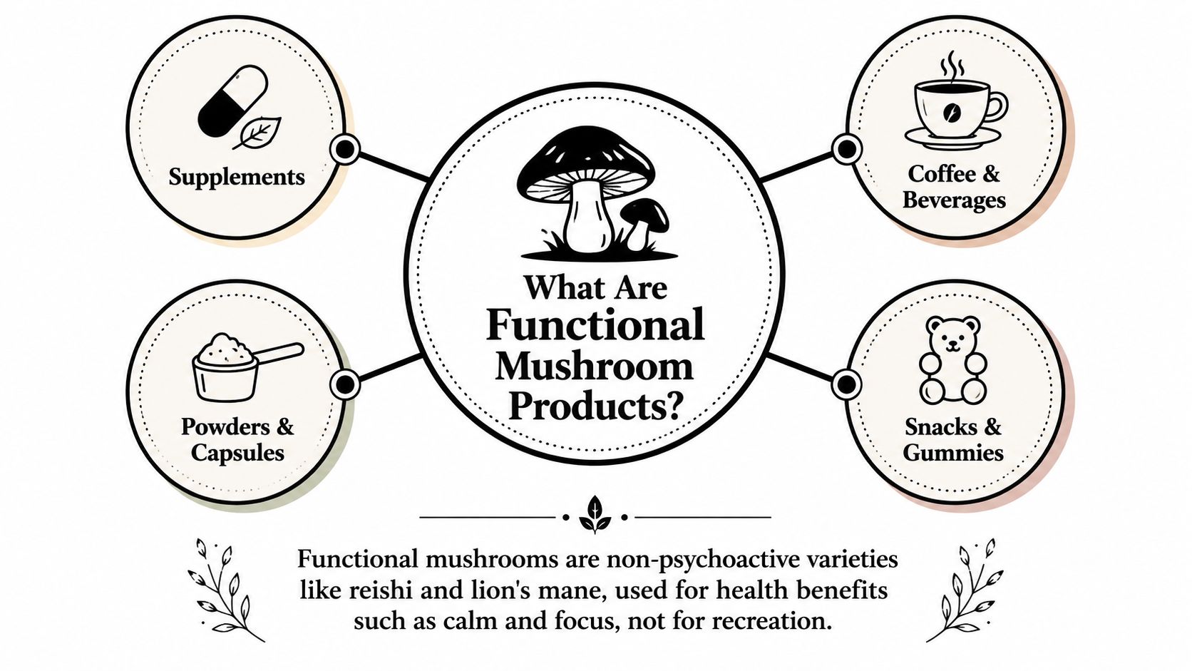 A diagram illustrating four categories of functional mushroom products, including supplements, coffee, powders, and gummies.
