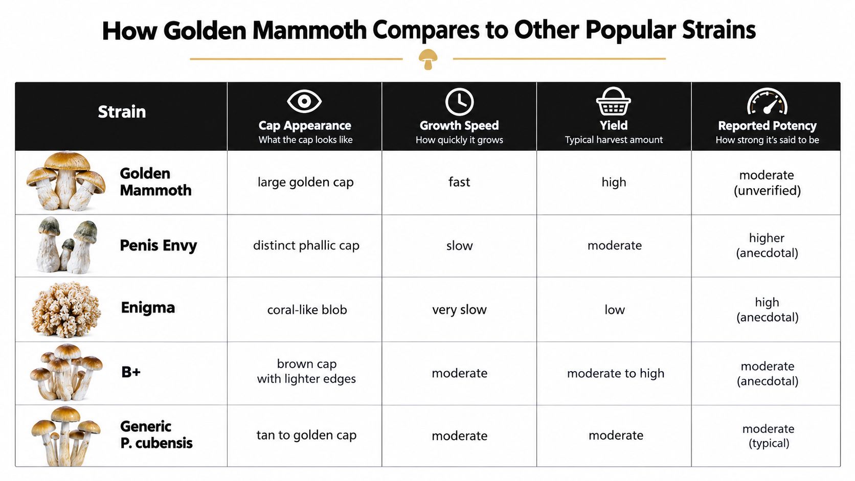 A comparison chart showing features like growth speed and potency for Golden Mammoth versus other mushroom strains.