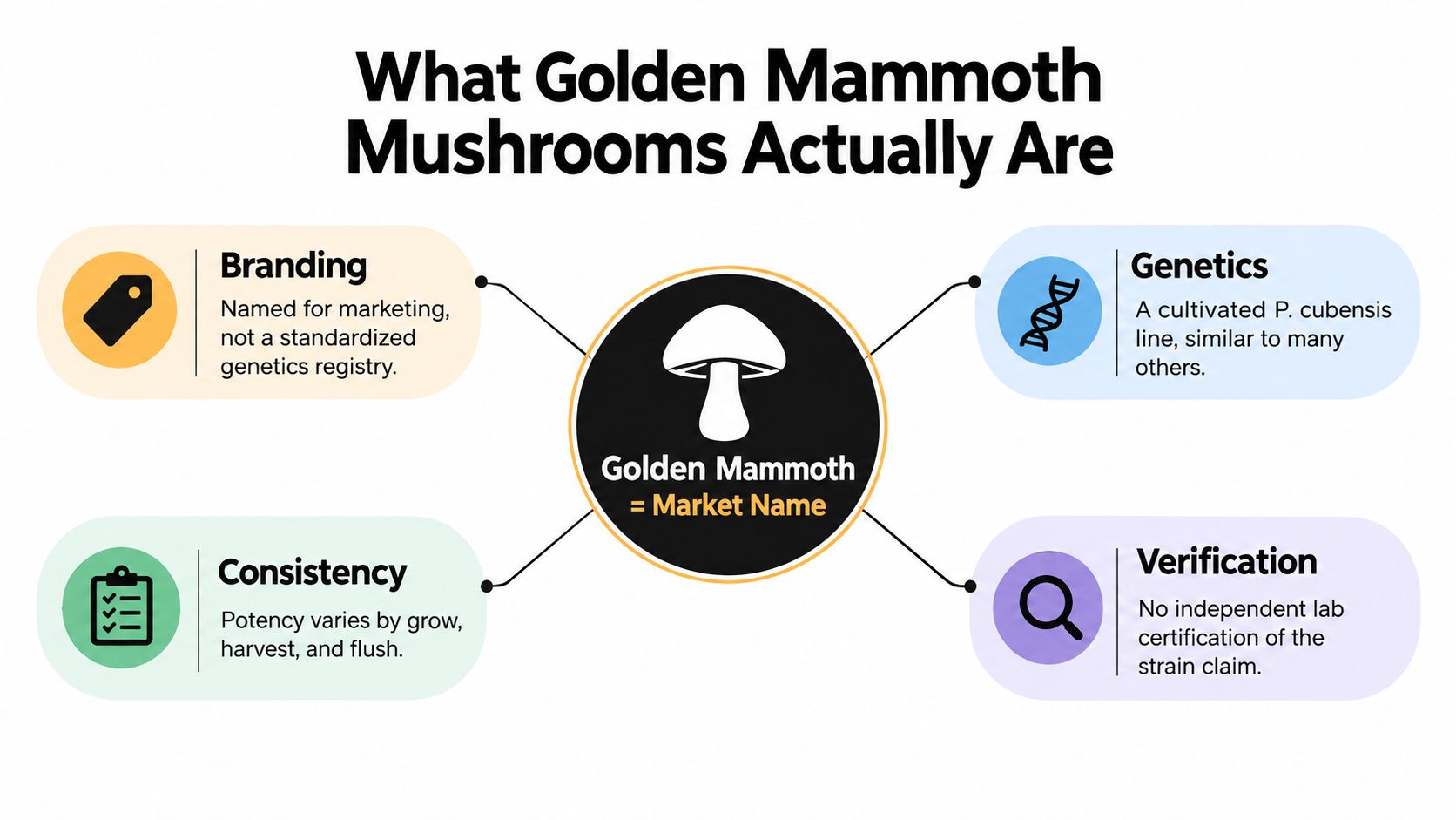 An infographic explaining that Golden Mammoth mushrooms are a market brand name, not a standardized genetic strain.