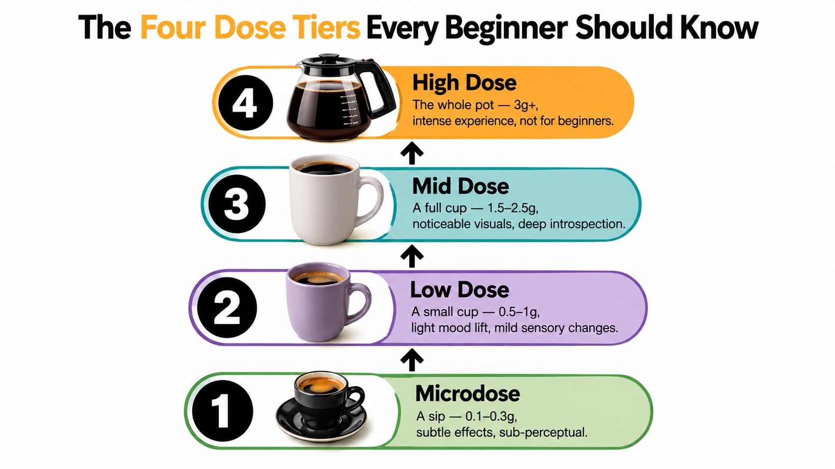 An infographic showing four tiers of psychedelic mushroom dosages, ranging from microdose to high dose.