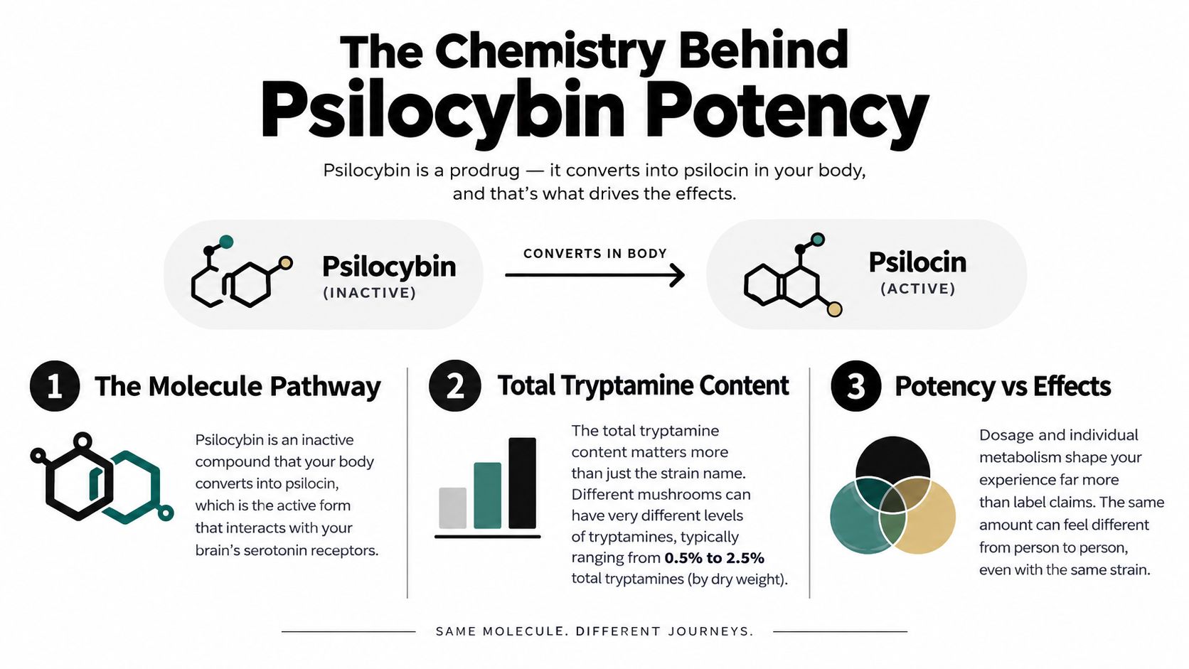 Strongest Psilocybin Strains: A Potency and Safety Guide